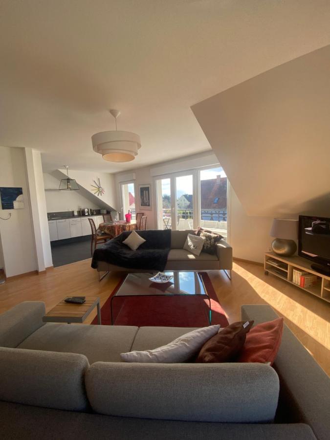 A2 Pas De Colmar Terrasse,Parking Apartment Wintzenheim Exterior photo