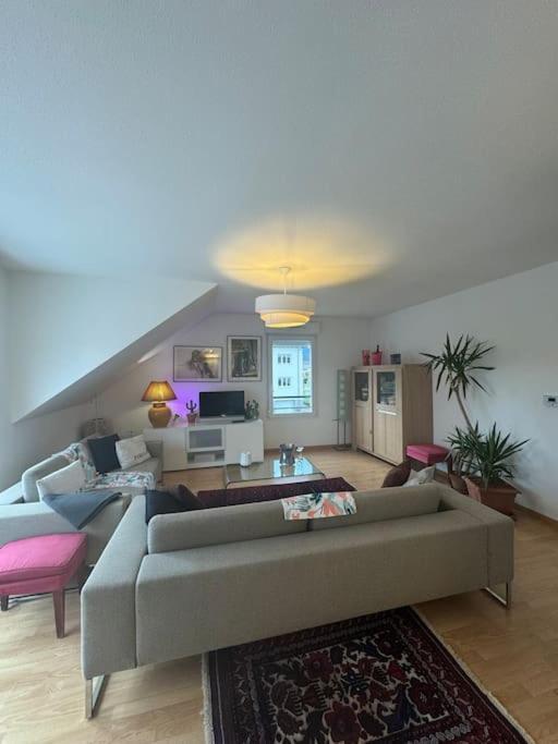 A2 Pas De Colmar Terrasse,Parking Apartment Wintzenheim Exterior photo